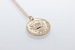 NKE2345H-G-06 NKE2345H-G-06 Ketting Kreeft RVS