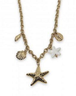 SST5020-88 SST5020-88 Ketting Stainless Steel – Sea star charm