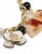 SST5025-17 SST5025-17 Necklace Stainless Steel