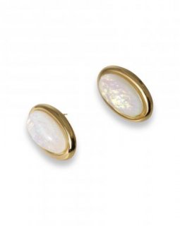 SST7011-159 SST7011-159 Earrings Stainless Steel