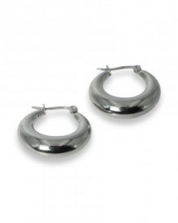 SST7014-176 SST7014-176 Oorbellen Stainless Steel